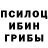 Псилоцибиновые грибы Psilocybine cubensis Vitali Kazlou