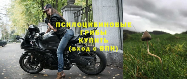 apvp Абаза