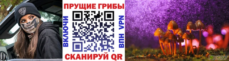 Псилоцибиновые грибы Magic Shrooms  купить закладку  Болхов 